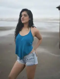 Working Girl ahmedabad call girl